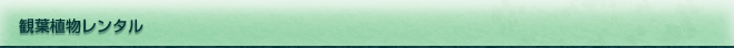 観葉植物レンタル
