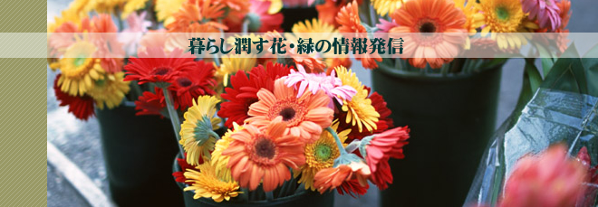 暮らし潤す花・緑の情報発信